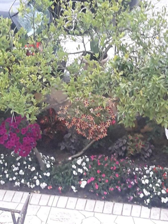 Juriki Apartament Vlore Bagian luar foto